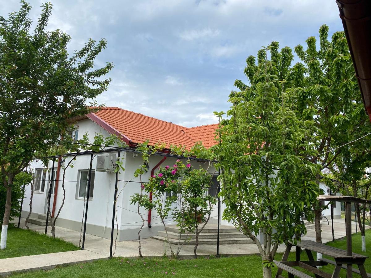 Casa Porumbelul Vama Veche - B&B