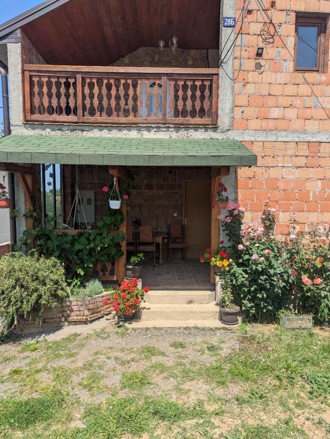 Apartment In Pinosava - B&B