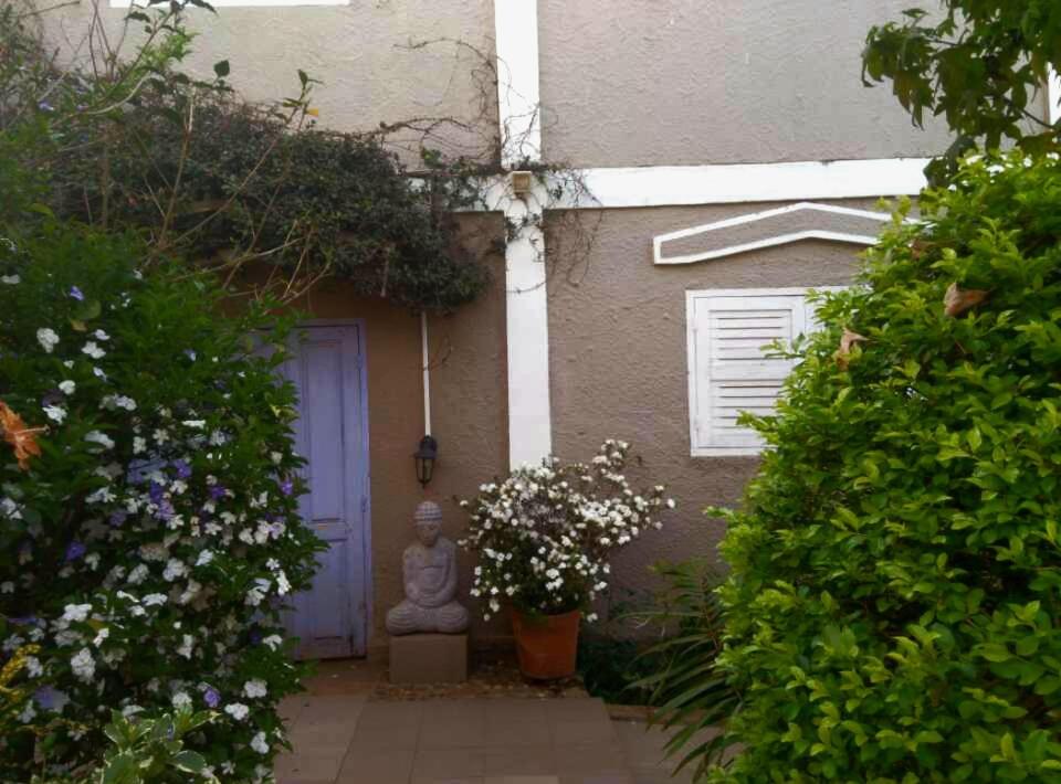 Les azalées - B&B