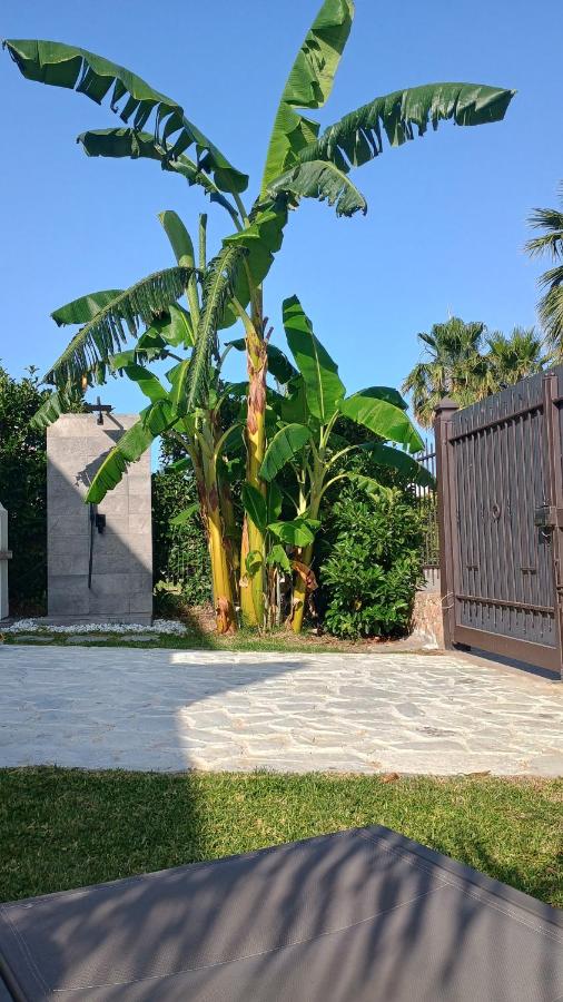 I Giardini del mare casa vacanza - B&B Buonfornello