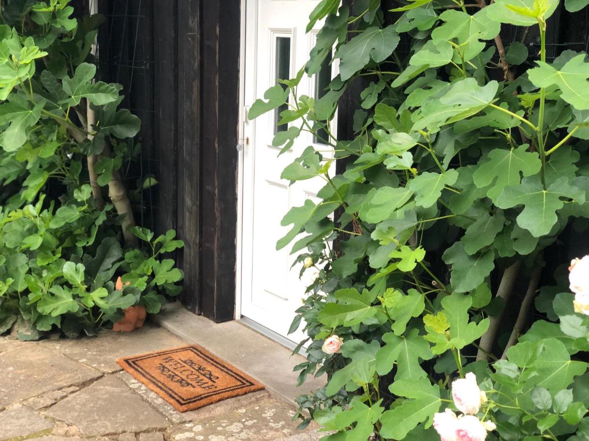Das Gartenhäuschen im Landhaus im Park - B&B