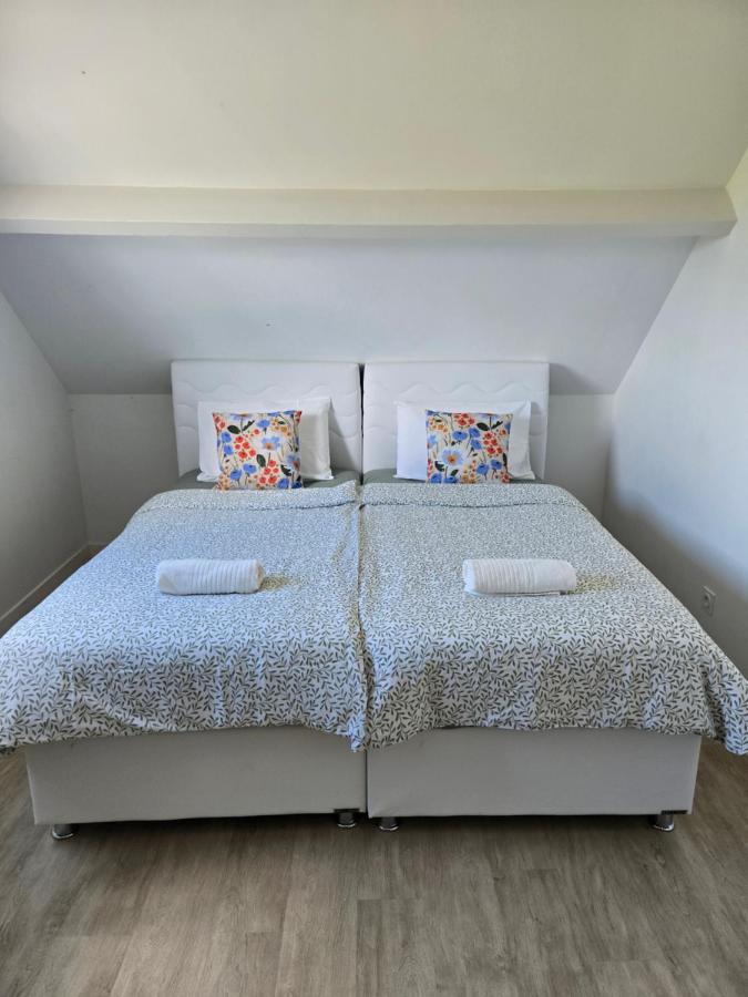 Grande maison à Vendôme - B&B