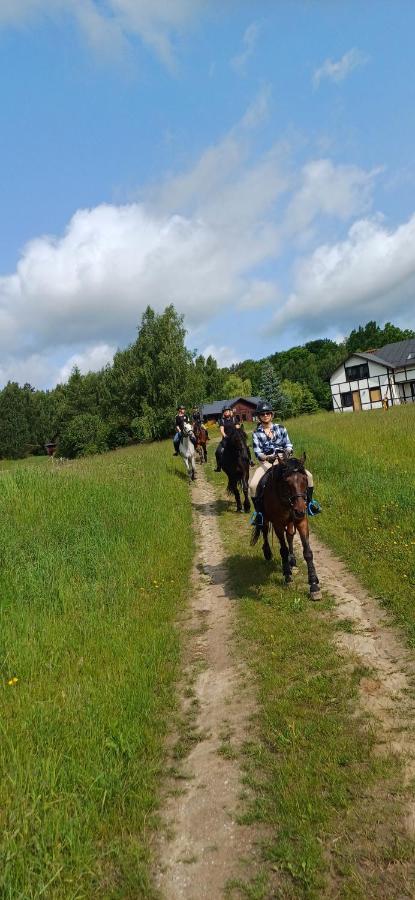 Pensjonat SALINO Hubertówka - B&B