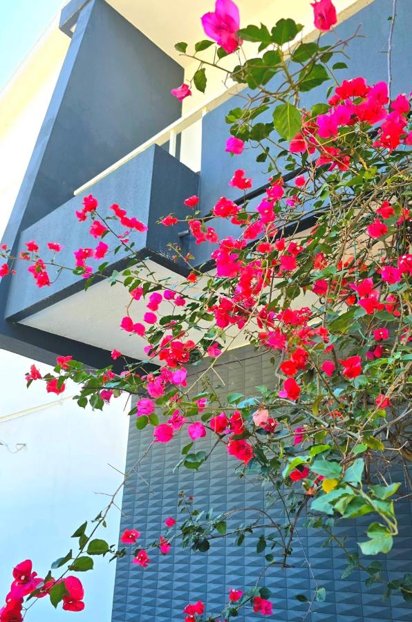 Jan House - Ferienwohnung Braga