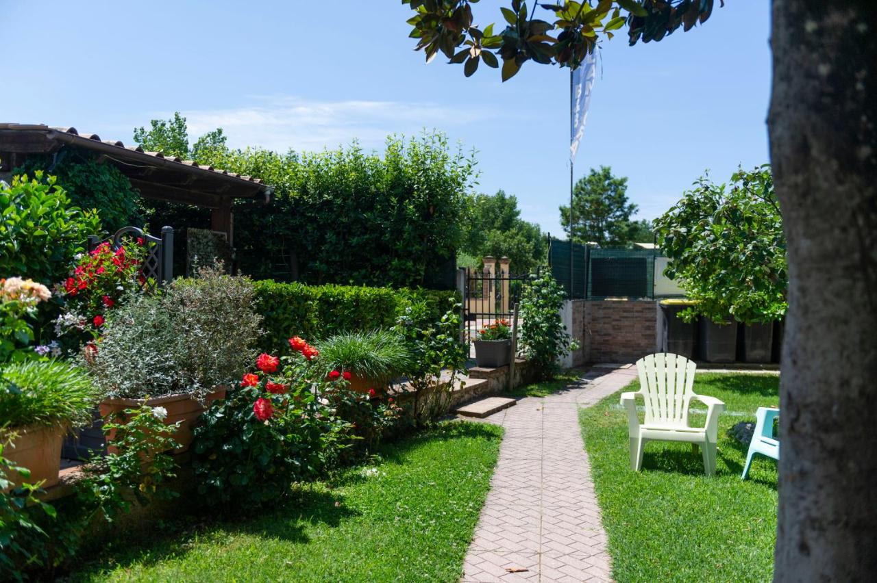 B&B Appartamenti l'Anfora - B&B
