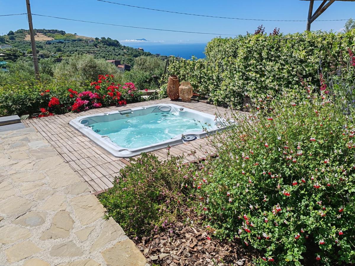 New Home Wisteria - Jacuzzi exclusive use - B&B Massa Lubrense