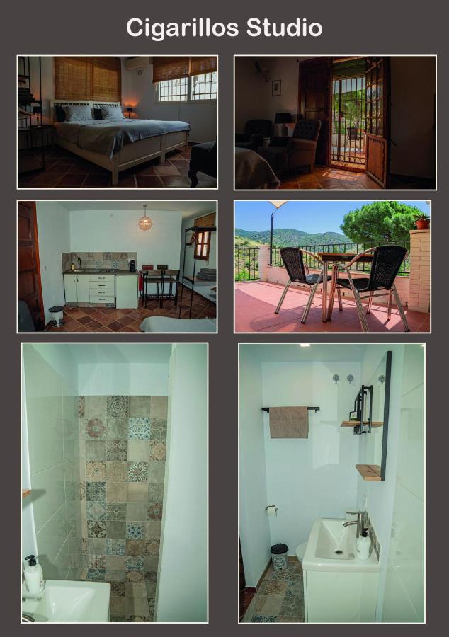 Studio mit Bergblick