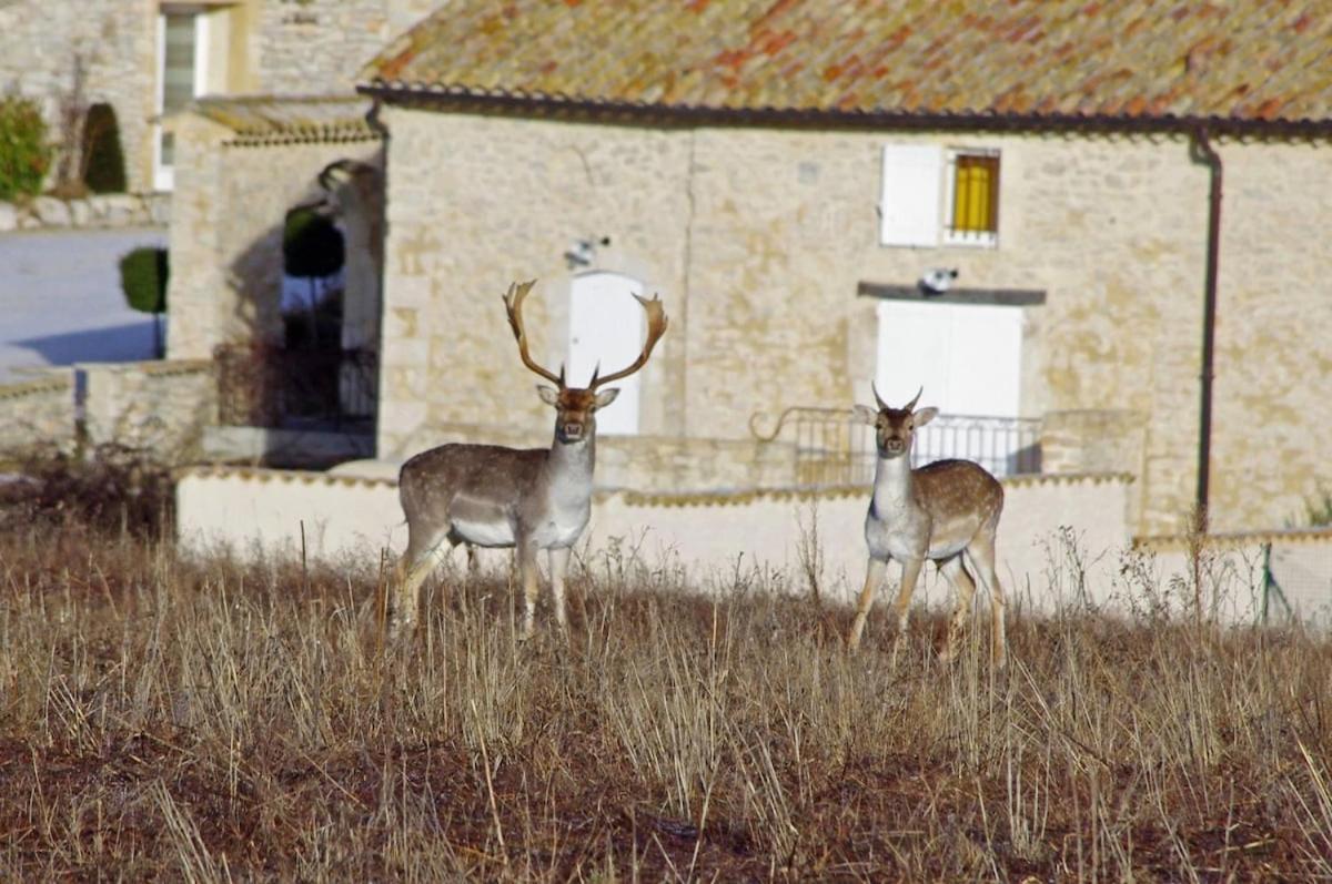 La Bastide du Père Marius - B&B