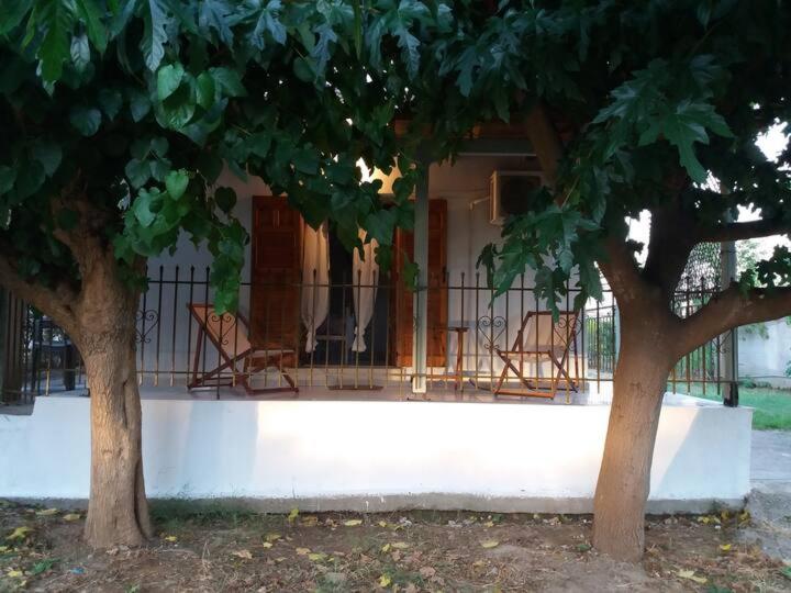 The happy scarecrows - B&B Amaliáda