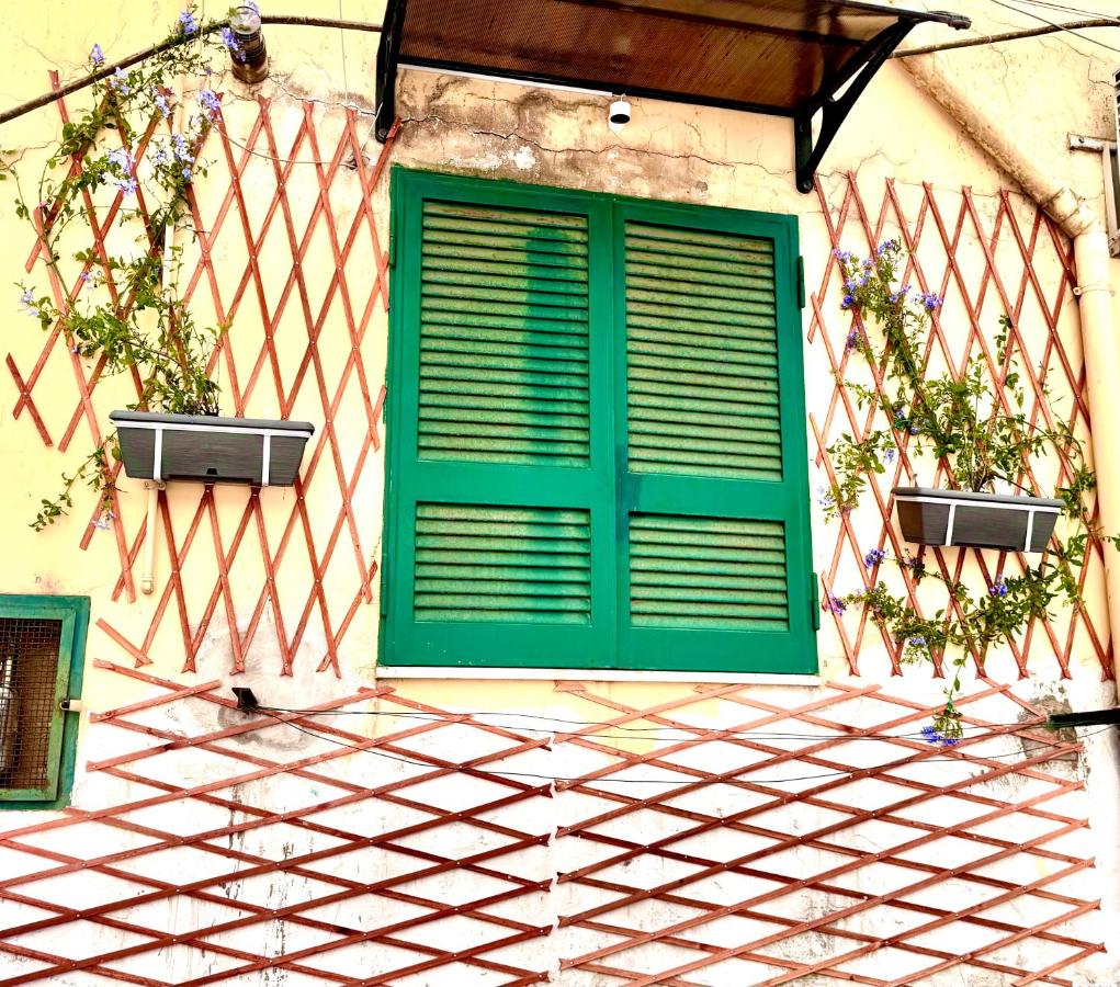 Monacos home and food - B&B Napoli