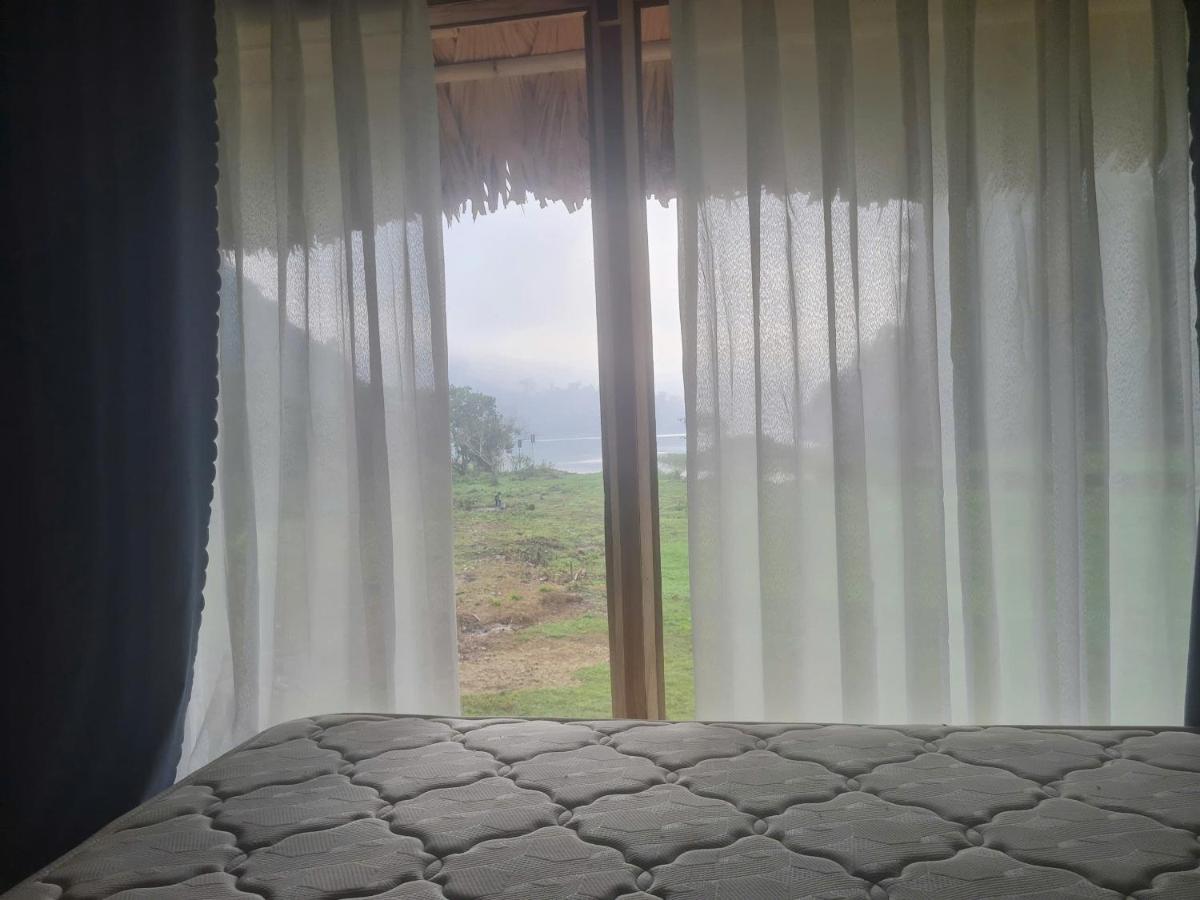 King Room with Pool View