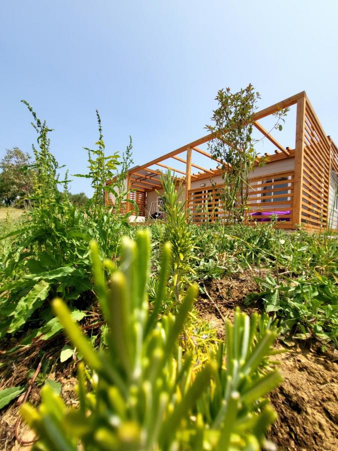 Bungalow Deluxe con vistas al jardín