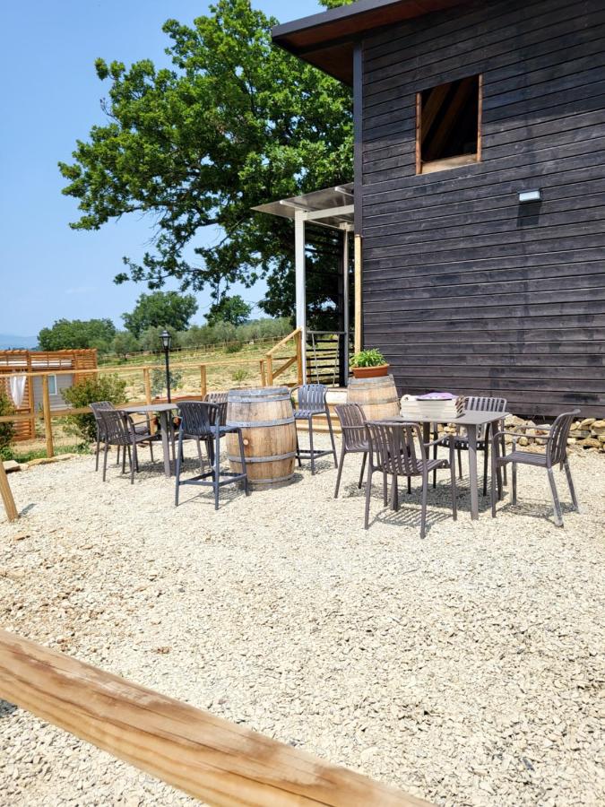 VioVillas Agriturismo Glamping Jacuzzi Arezzo - B&B Arezzo