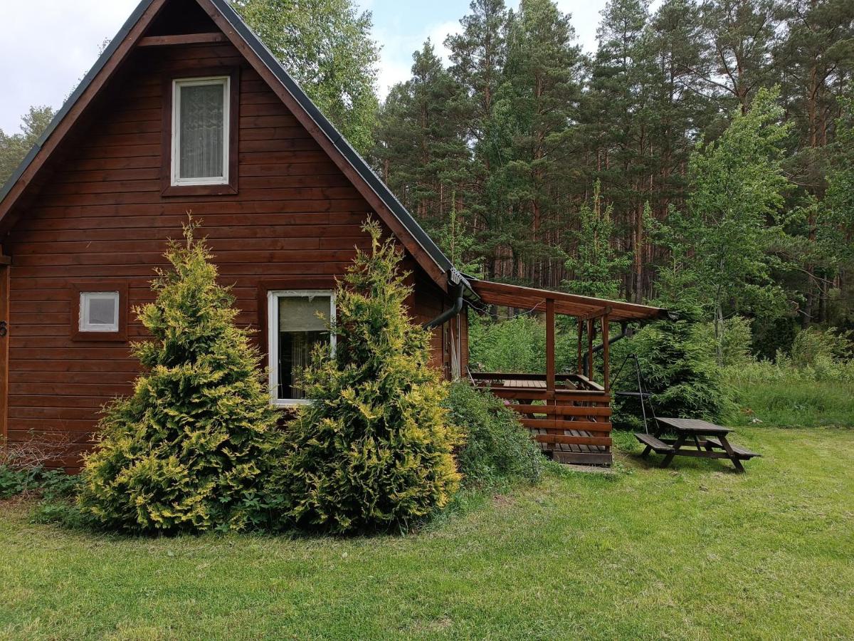 Domki Sosnowa dolina We Wielu - B&B