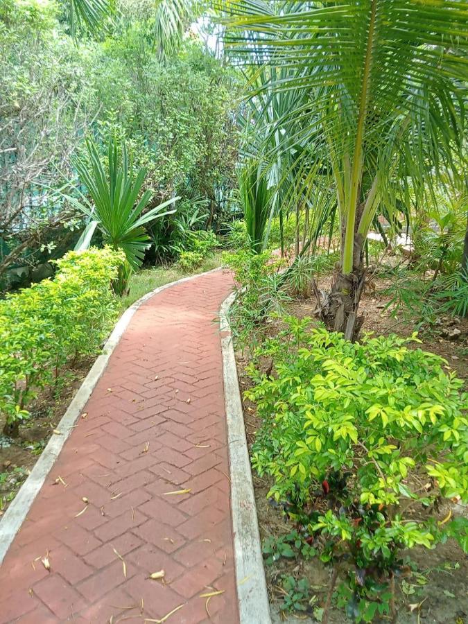 Real Ibiza - Ferienwohnung Playa del Carmen