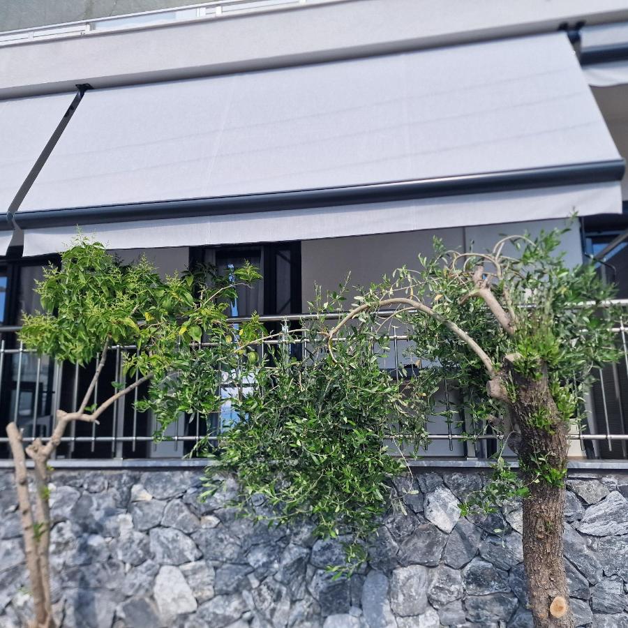 Mama Kitsa - B&B Sarti