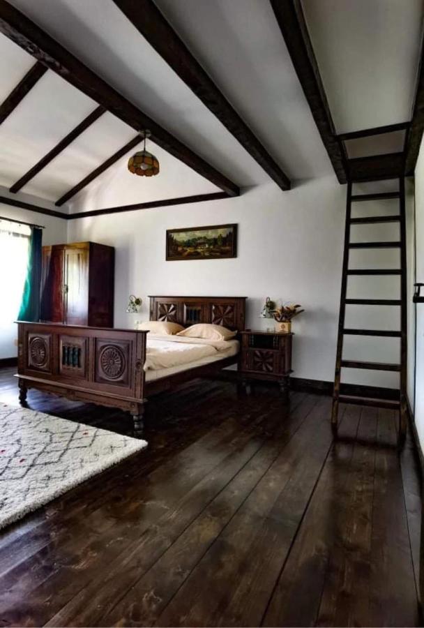 LA STORIA by Camping Mala - B&B Eşelniţa