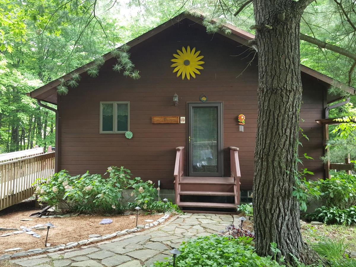 Woodland Hideaway - B&B