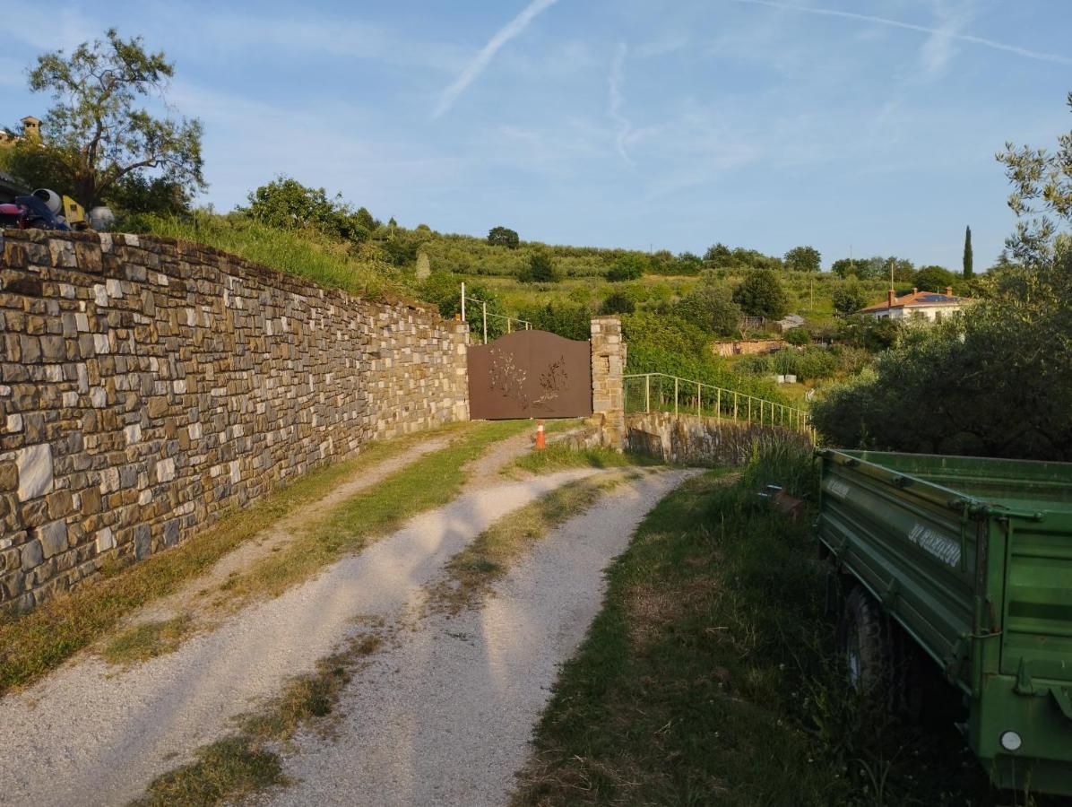 Olive ranch - B&B Strugnano