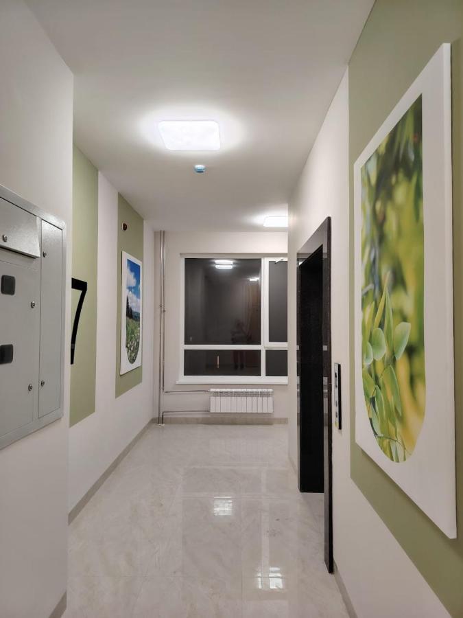 2 комнатные апартаменты Центральный сквер - B&B Astaná