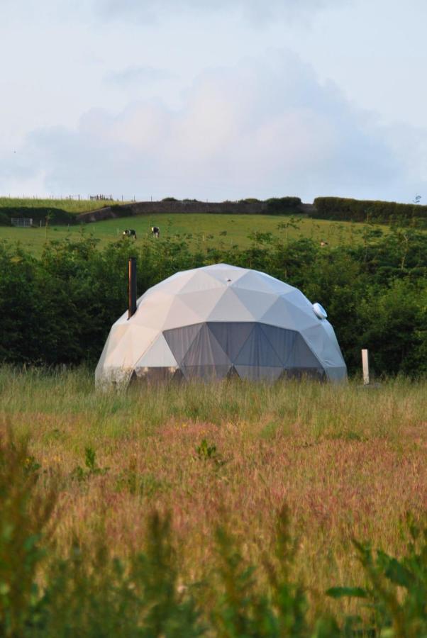 Kilima Retreats - B&B West Quantoxhead
