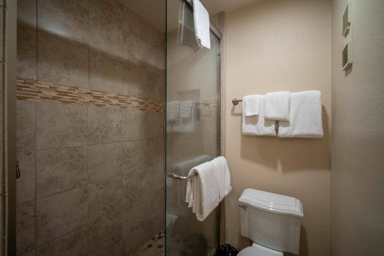Standard Two-Bedroom Apartment