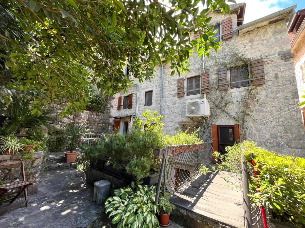 HealthyStudio512 Apartments - B&B Cattaro