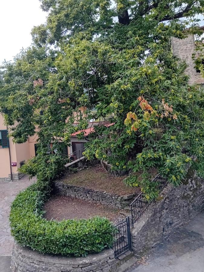 Il Pianello di Badia Prataglia - B&B