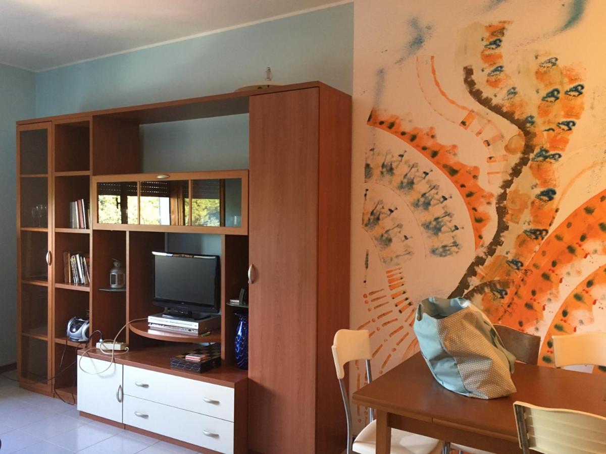 Stella marina - B&B Aprilia Marittima