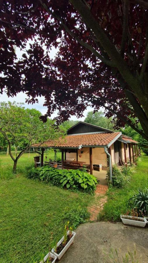 Kuca Garic - B&B