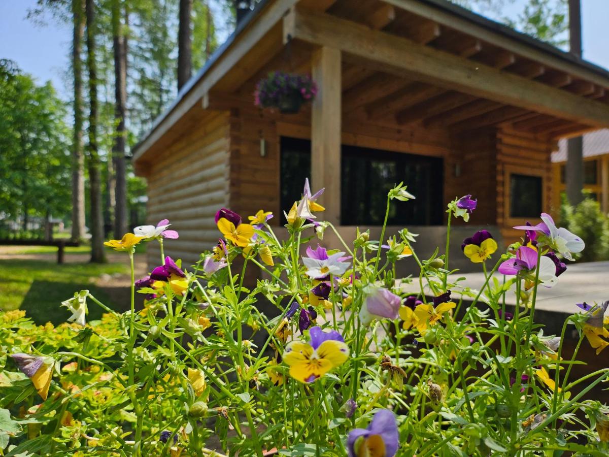 Saules Krasti - Bed and Breakfast