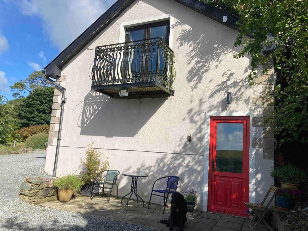 Peaceful Garden Studio near Gorey Sleeps 4 Parking - B&B