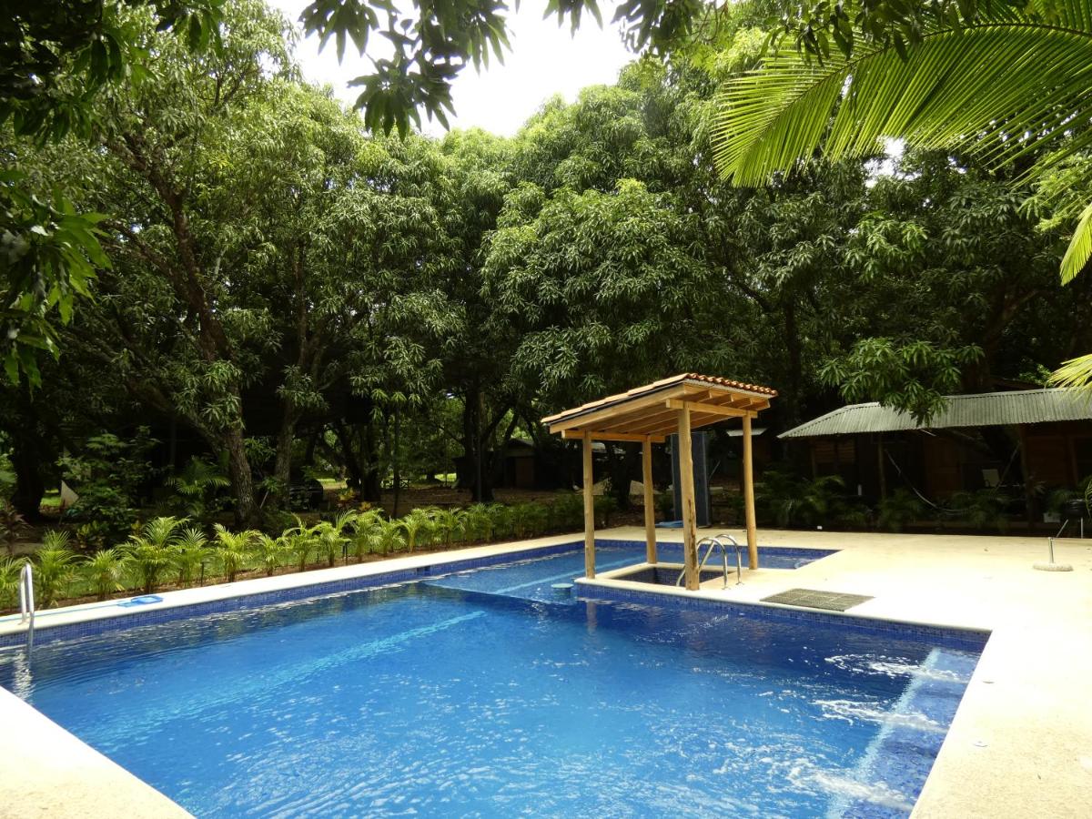 Rusteak Living Retreat in natural and peaceful setting in Canafistula - B&B