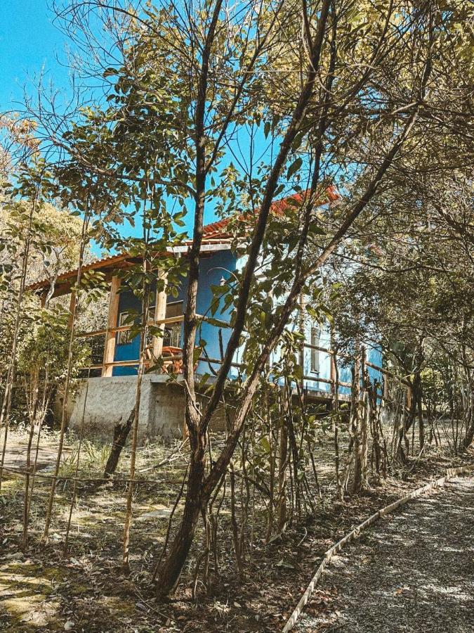 Girassóis do Vale - B&B Caeté Açu