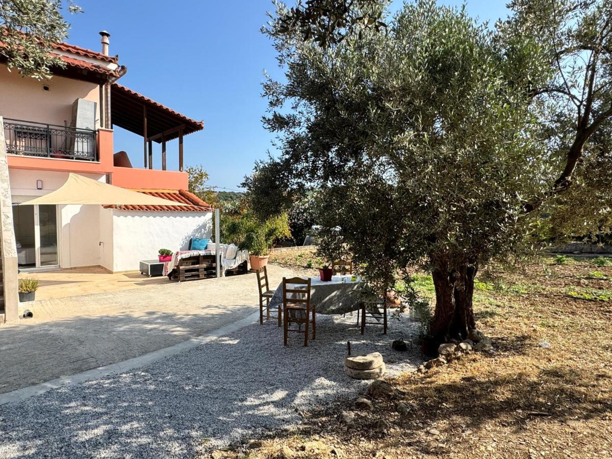 Anemomilos - B&B Samos