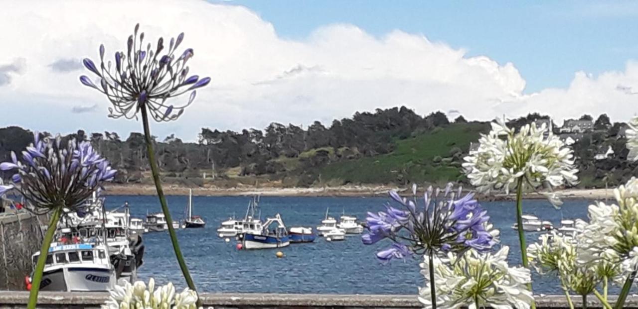 Charmante maison proche de la mer à Locquémeau - Ferienwohnung Locquémeau