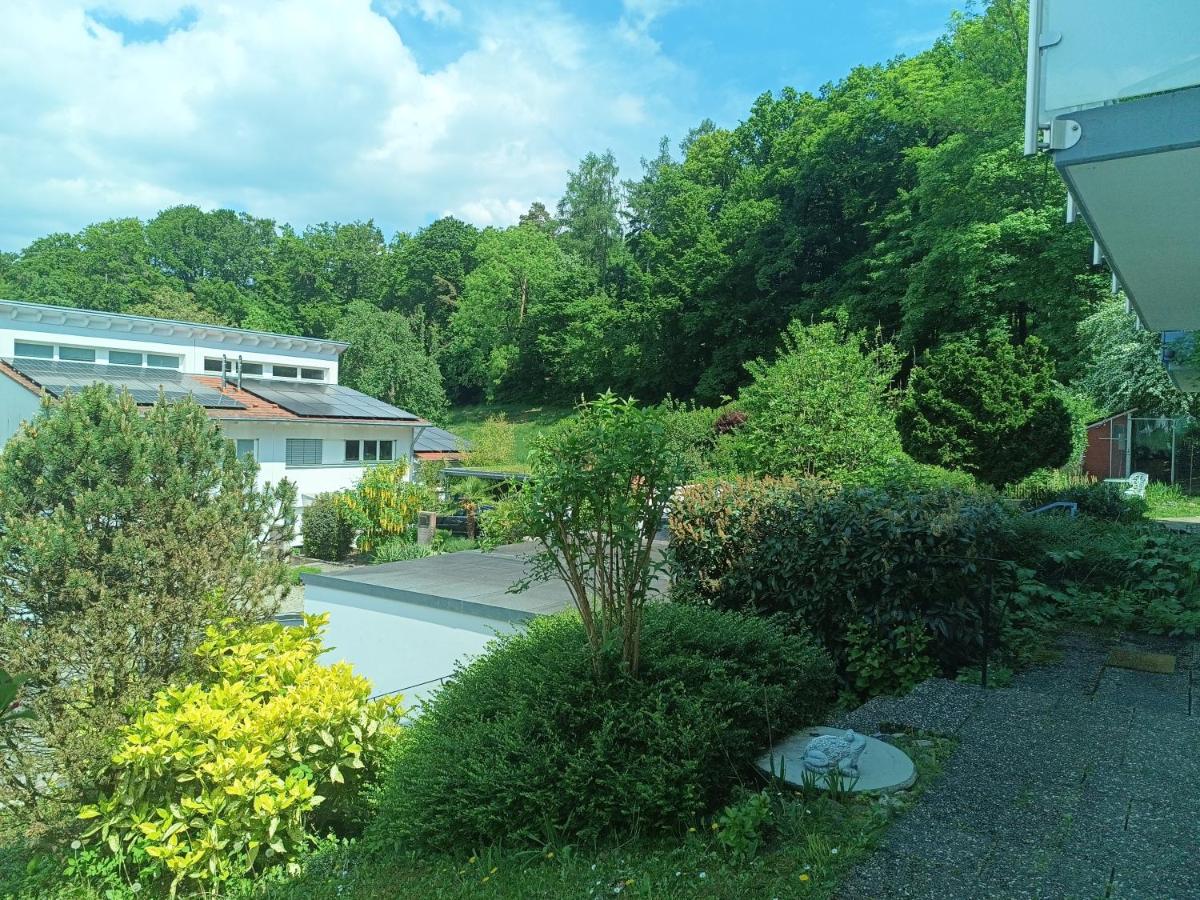 Freddy - B&B Loerrach