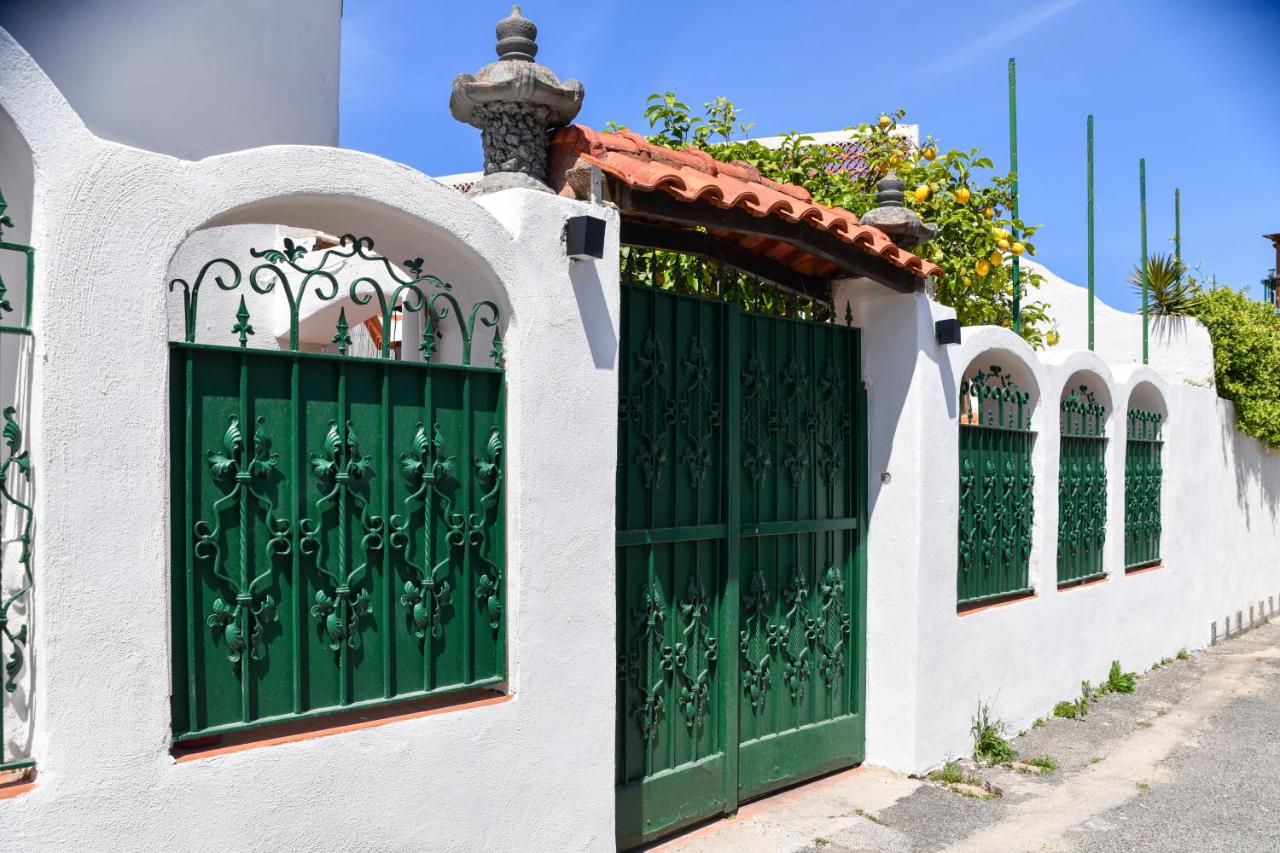 B&B IschiaMare Forio - B&B Ischia