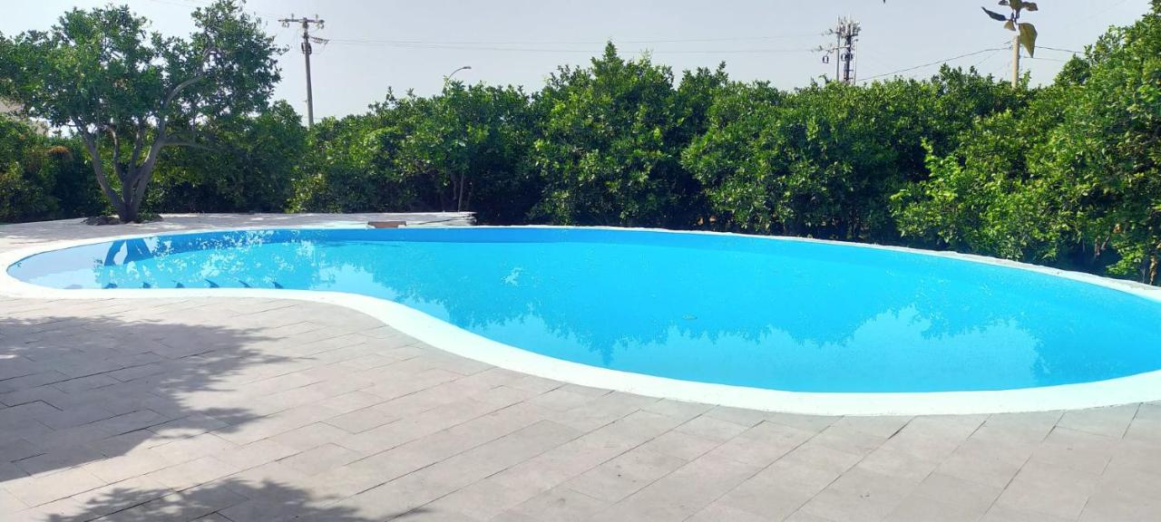 aranceto dell'Etna - Bed and Breakfast Mascali