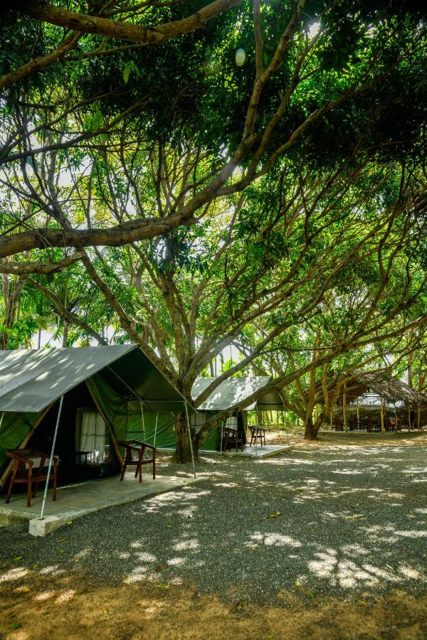 Mango Safari Camping Udawalawe - B&B
