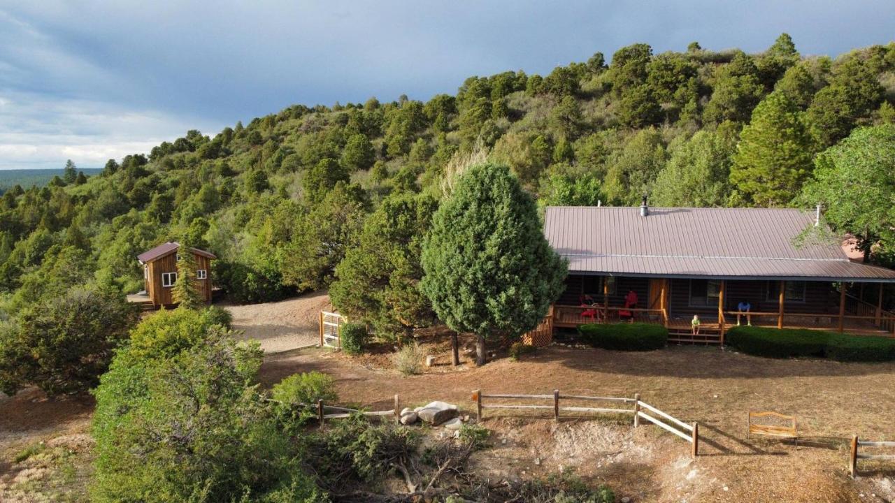 Mesa Verde View & Sauna, Walk to Mancos State Park - B&B Mancos