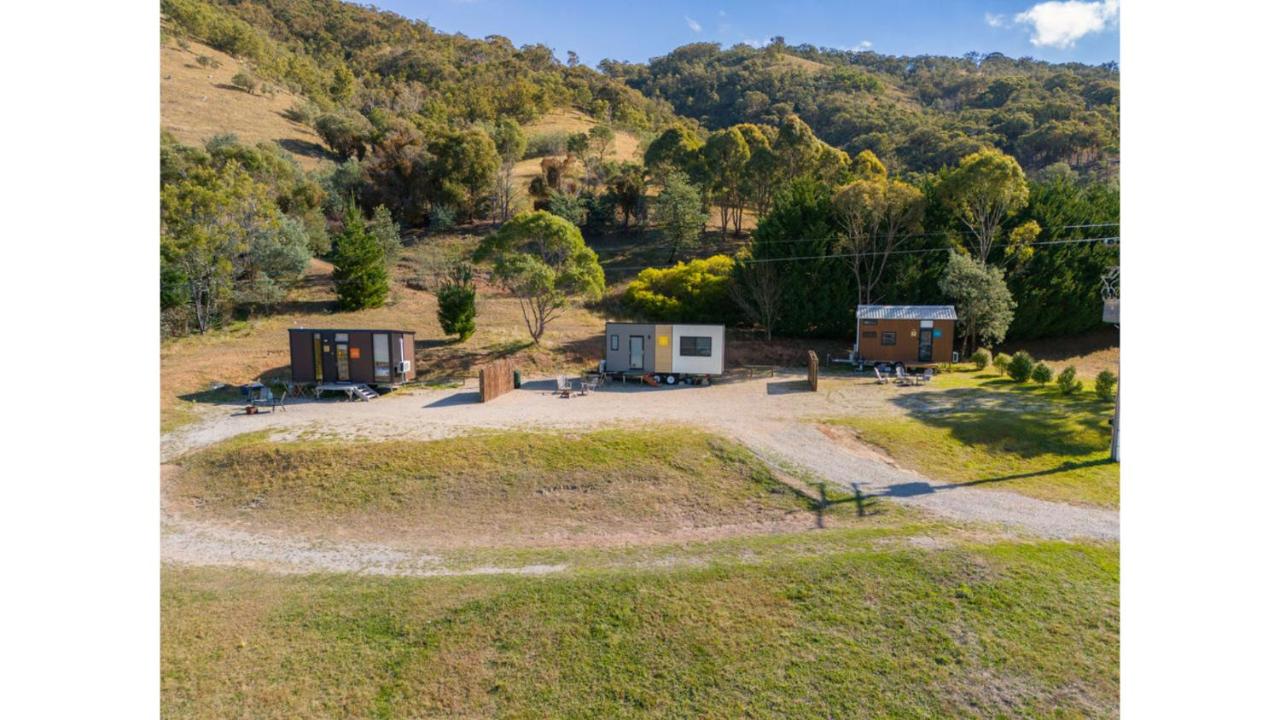 Baxter at Lake George Winery at Tiny Away - B&B Collector