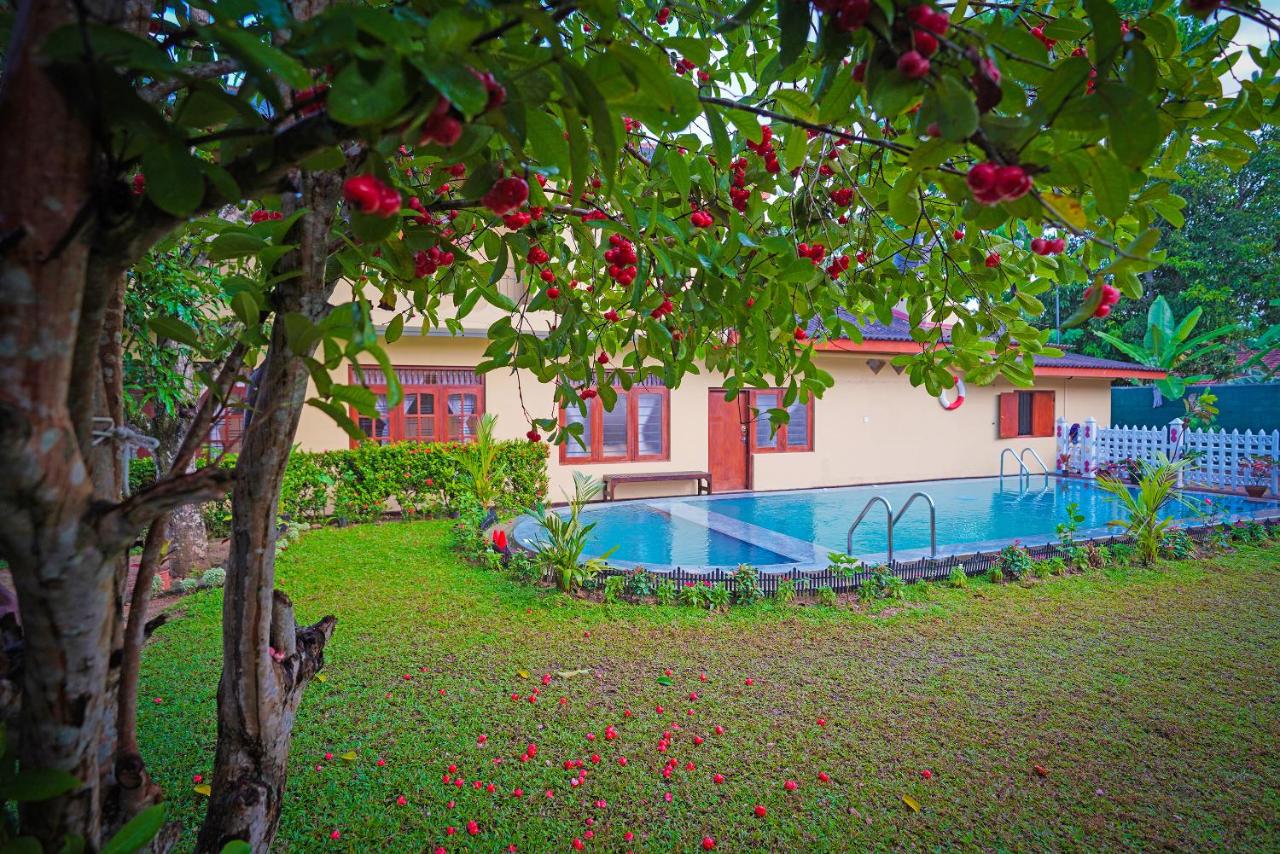 Weligama Bungalow - B&B