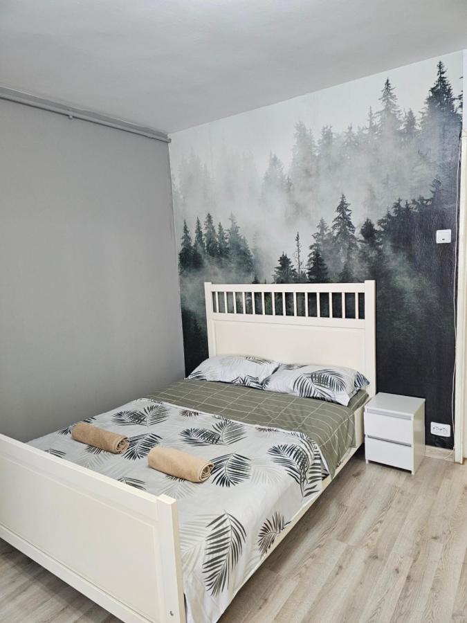 Forest Studio - B&B Sibiu