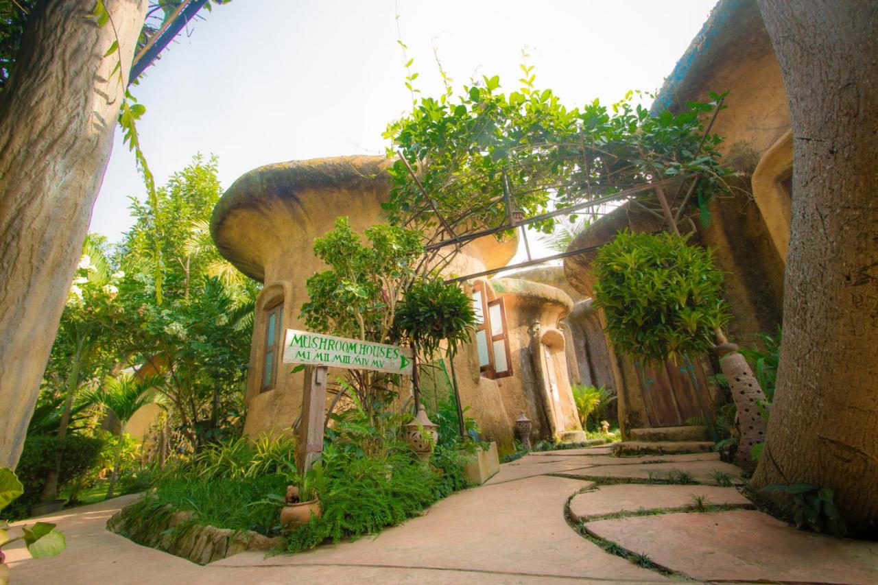 Leafy Greens Chiangmai - B&B Chiang Mai