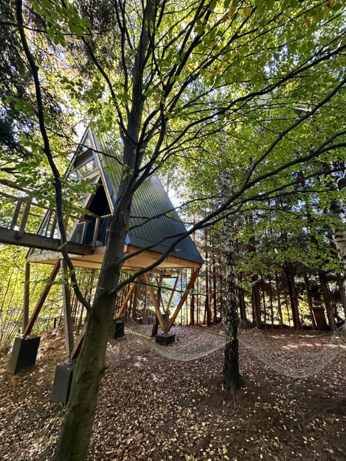 Treehouse Bystreečka - B&B