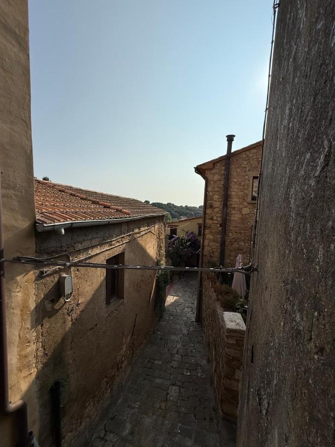 La Casina Two-room apartment in the historic center of Bibbona - Chambres d'hôtes Bibbona
