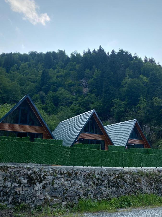 Tozkaban Bungalow - Chambres d’hôtes Çamlıhemşin