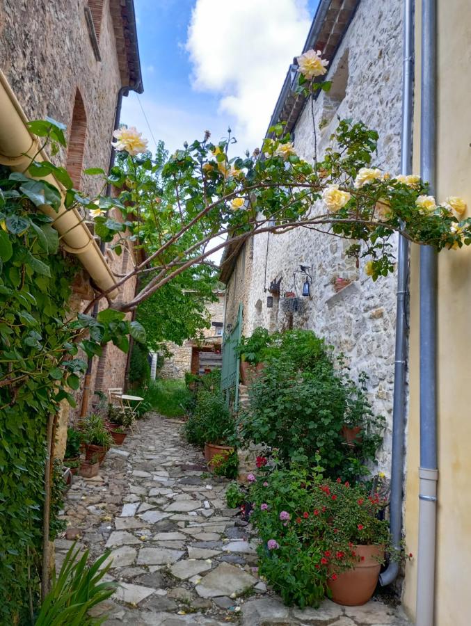 Maison dans hameau provençal - Chambres d’hôtes Le Luc