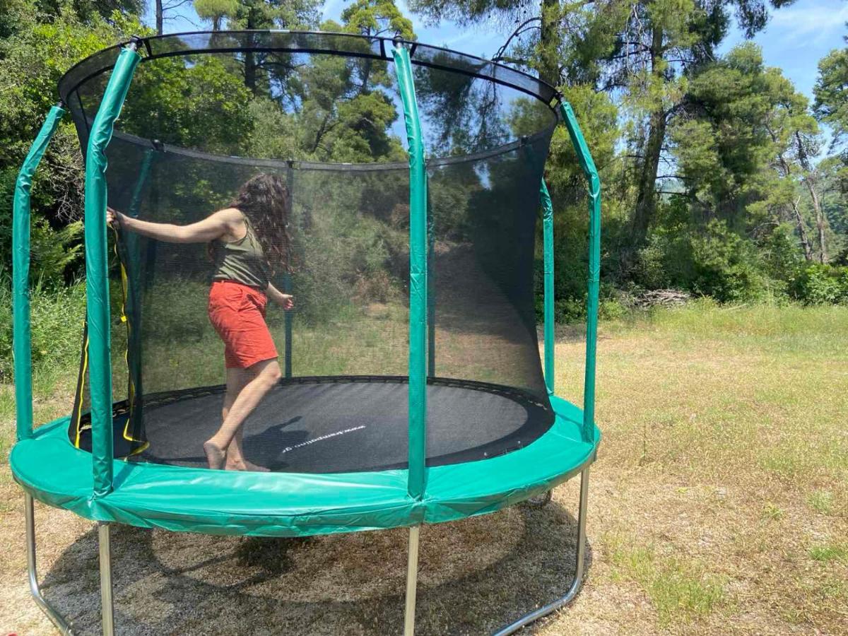 Pine Tree Cottage - B&B Néa Skióni